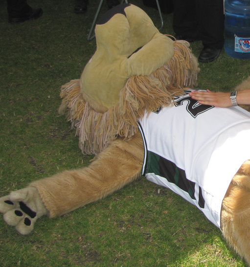 Polar Vest Mascots 0 Staying Cool